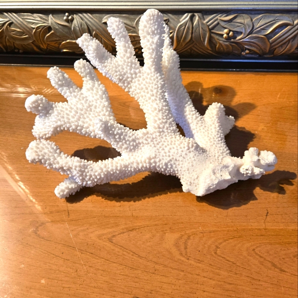 Peruvian White Coral Decorative Piece